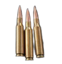 7.62×51mm Rifle Cartridge